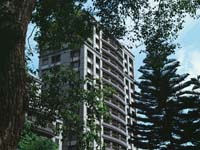 4324243-Classic Projects-