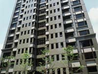 4324243-Classic Projects-